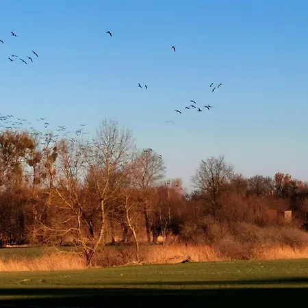 Lägenhet Arcadia In Paretz *