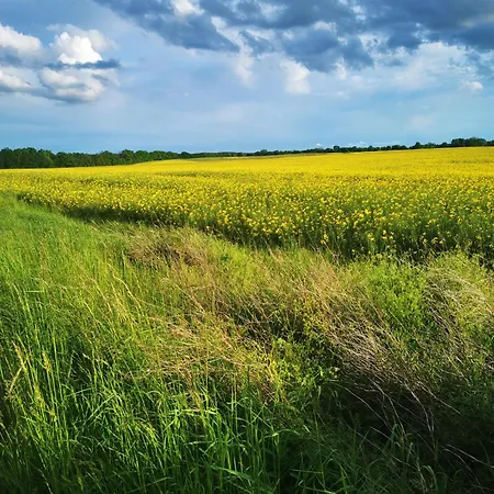 Arcadia In Paretz * Ketzin