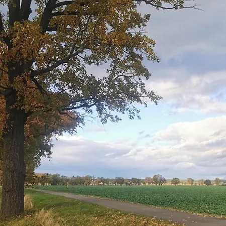 Lägenhet Arcadia In Paretz *