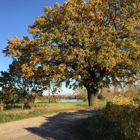 Arcadia In Paretz Ketzin