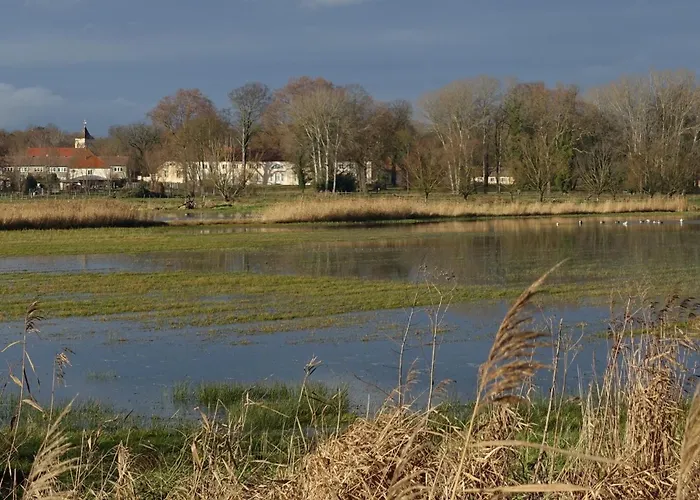 Arcadia In Paretz Ketzin