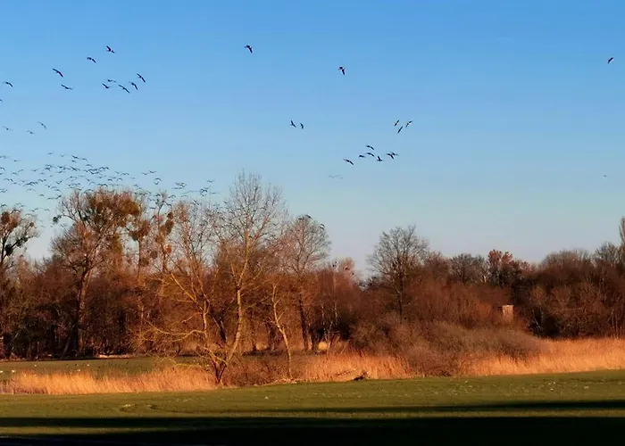 Apartamento Arcadia In Paretz *