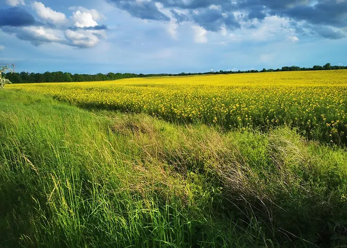 Arcadia In Paretz * Ketzin