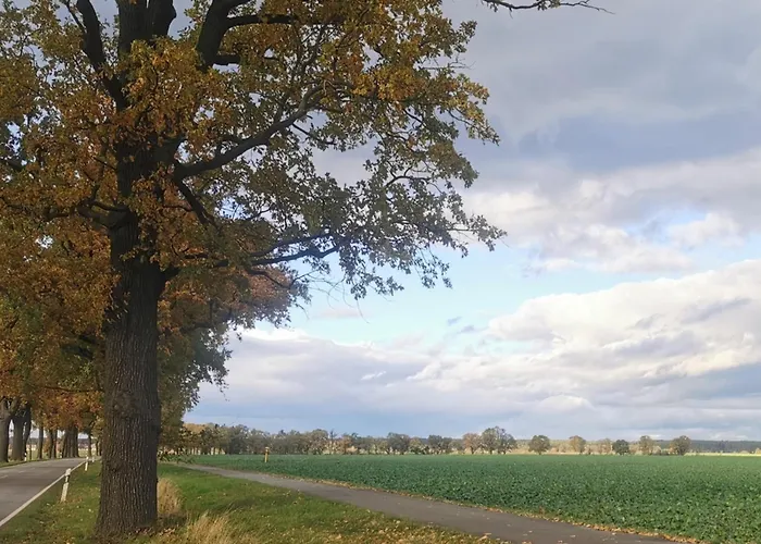 Apartamento Arcadia In Paretz *