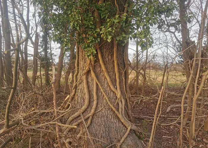 Arcadia In Paretz Apartamento *