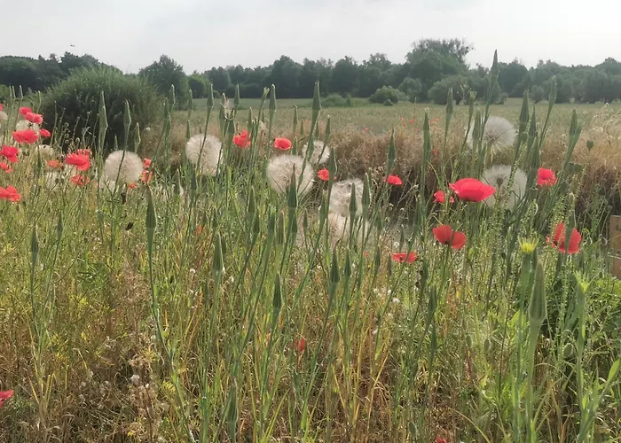 Arcadia In Paretz Apartamento