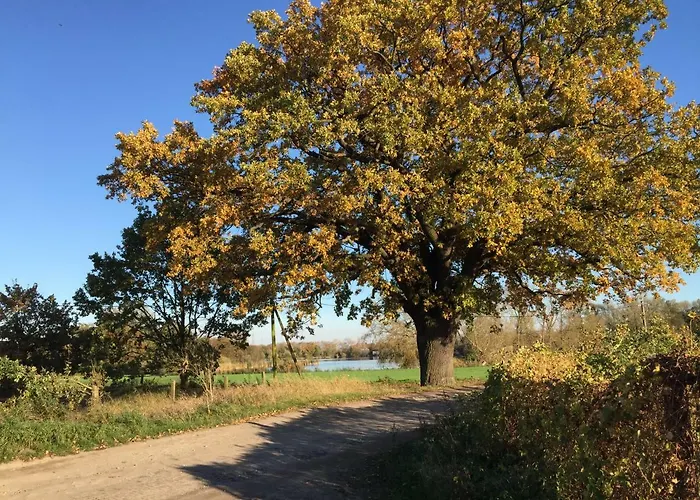 Arcadia In Paretz Ketzin